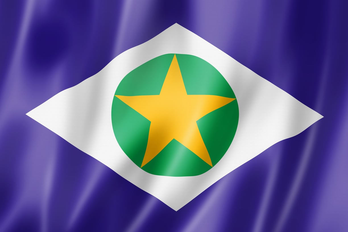 Mato Grosso State Flag, Brazil